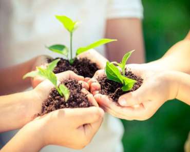 Environmental Awareness – Green Concept Approach