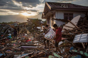 Humanitarian Logistics Partner